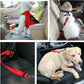 Pet car seat belt