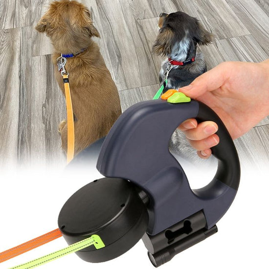 Double leash for Pets