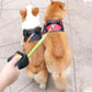 Double leash for Pets