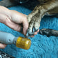 Electric Nail Grinder for Pets