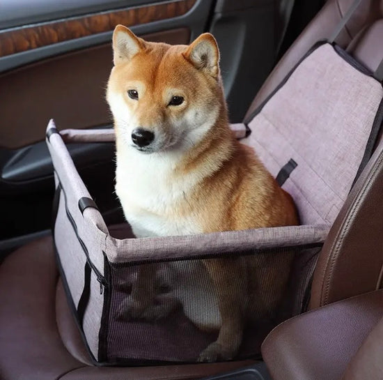 Pet Safety Seat Car Bag