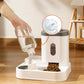 Automatic pets feeding bowl