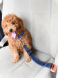 Pet car seat belt