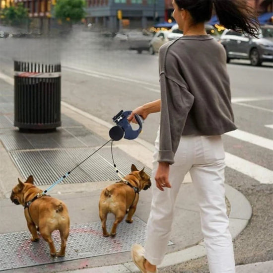 Double leash for Pets