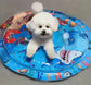 Cooling water bed for pets