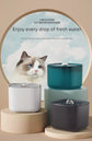 Pets water Dispenser automatic